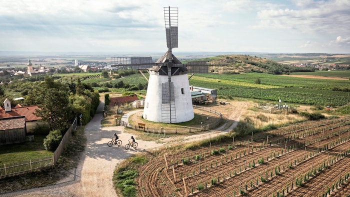 Die Windmühle ist das Wahrzeichen von Retz.