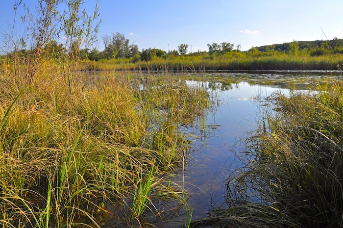 Until the Danube was regulated in 1875, the Lobau was a hunting ground reserved exclusively for ...