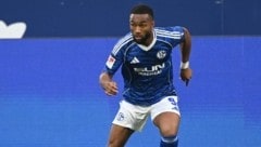 Schalke-Profi Moussa Sylla setzt sich rund um den „Hunde-Skandal“ nun zur Wehr!