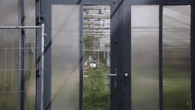 Mit kleinen, privaten Gewächshäusern hat die geplante Anlage nichts mehr gemein.