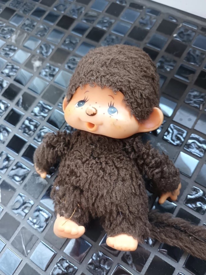 So sieht ein Monchhichi aus