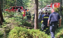 Die Einsatzkräfte rückten in den Wald aus.