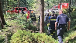 Die Einsatzkräfte rückten in den Wald aus.