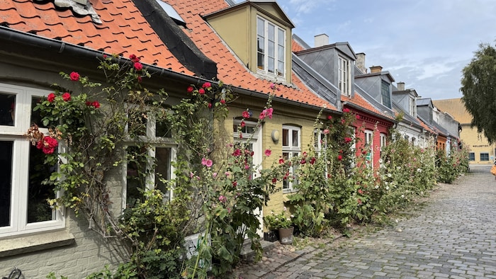 Idyllische Fassadenreihe in Aarhus
