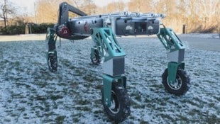 SHIVAA wurde peziell für den Freilandanbau entwickelt.