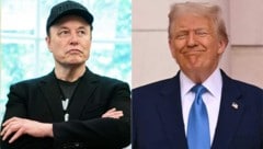Vor ihrem Streit haben Trump und Musk eng zusammengearbeitet.