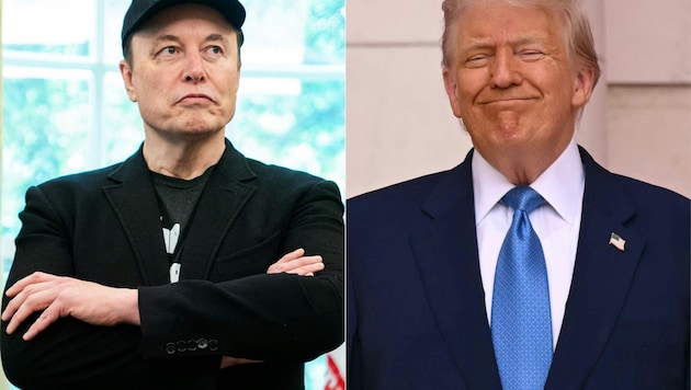Vor ihrem Streit haben Trump und Musk eng zusammengearbeitet.