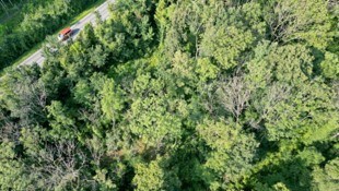 Forscher suchen nach Risiko-Hotspots für Waldbrände – auch in Österreich.