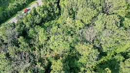 Forscher suchen nach Risiko-Hotspots für Waldbrände – auch in Österreich.