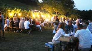 Sommer, Sonne, Wein: Beim Charity-Picknick in der Ried Himmelreich genossen rund 250 Gäste ...