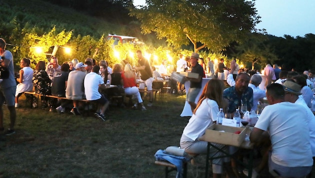 Sommer, Sonne, Wein: Beim Charity-Picknick in der Ried Himmelreich genossen rund 250 Gäste ...