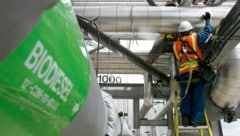 Während die Bauern immer stärker unter Druck geraten, könnte das derzeit so günstige Getreide ...