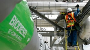 Während die Bauern immer stärker unter Druck geraten, könnte das derzeit so günstige Getreide ...