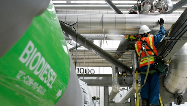 HVO ist eine Art von Biodiesel, die gut in Fahrzeugen eingesetzt werden kann.