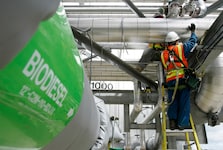 Während die Bauern immer stärker unter Druck geraten, könnte das derzeit so günstige Getreide ...