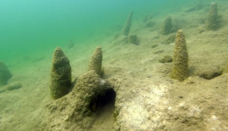 Die Reste der Pfahlbautenstätte am Keutschacher See am Seeboden.