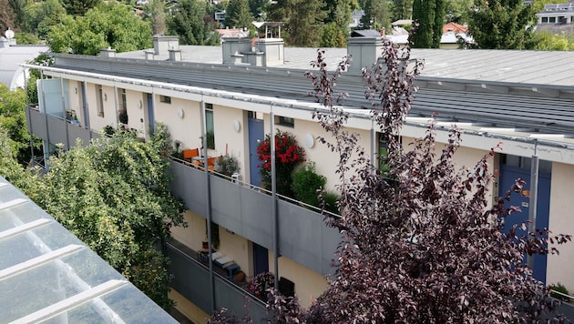 Die Anlage in der Gaisbergstraße wird von der gemeinnützigen „die salzburg“ verwaltet.