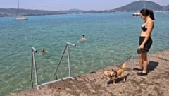Beim „Krone“-Lokalaugenschein am Donnerstag war am neu eröffneten Hundebadeplatz noch eher wenig ...