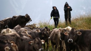Das Älplerleben ist nicht immer gemütlich – Regen und Kälte gehören auch dazu.