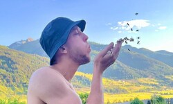 Sie summen im eigenen Garten und arbeiten hart. Genau so wie Pinzgau-Kapitän Lukas Moosmann.
