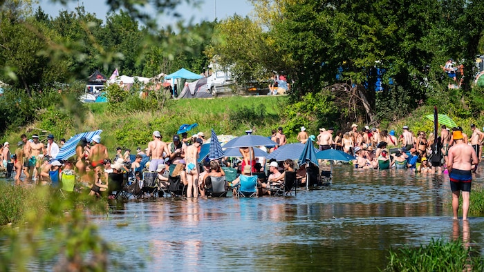 Bei den heißen Sommertemperaturen blieb den meisten nur die Flucht in die Traisen.
