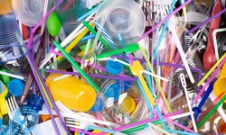 Plastik vermüllt Meere und Umwelt und vergiftet Ökosysteme, tötet Fische und andere Lebewesen ...