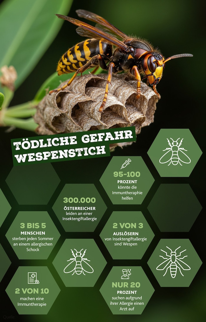 Zu wenig Betroffene einer Insektengiftallergie entscheiden sich für eine Immuntherapie.