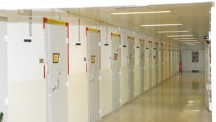 In Österreichs größter – und überfülltester – Justizanstalt ereignete sich der nächtliche ...