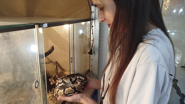 Barbara Ferber mit einem ihrer Schützlinge im Tierheim „Leo of Hope“