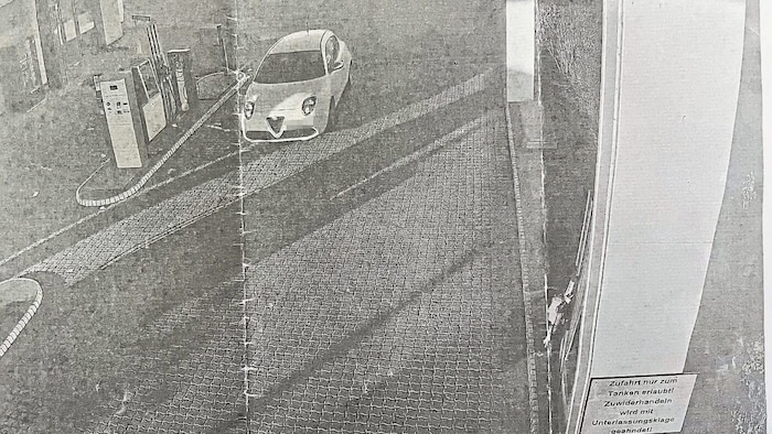 Die Wienerin wurde bei ihrer „Tat“ von einer Überwachungskamera fotografiert. Im Bild unten ...