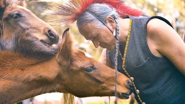 Auf den oststeirischen Almen werden die Indianer-Pferde gezüchtet. Ein Teil der 50 Zuchtpferde ...
