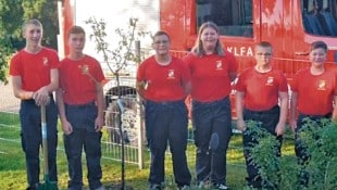 Auch die Feuerwehr Allhartsberg hat die Challenge erfolgreich gemeistert – und einen Baum ...