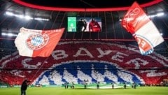 Der Boom hält an: Alle Heimspiel des FC Bayern München sind in dieser Saison bereits wieder ...