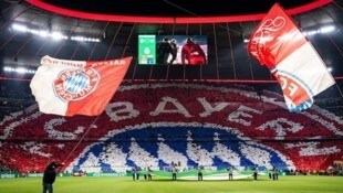 Der Boom hält an: Alle Heimspiel des FC Bayern München sind in dieser Saison bereits wieder ...