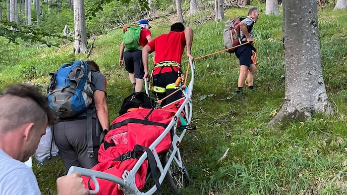 Der C16 wird ebenfalls zu Notfällen im alpinen Gebiet wie auf der Rax gerufen.