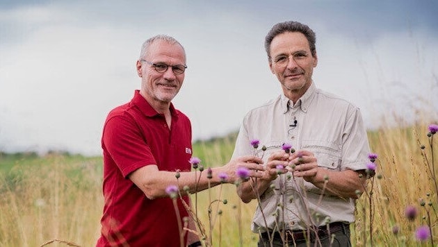 Um die Natur erblühen zu lassen greift Zach (li.) erfolgreich auf die Erfahrung des ...