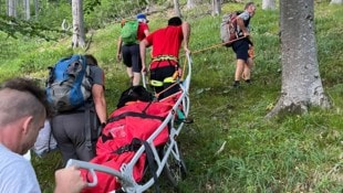 Der Hund war an allen Pfoten verletzt, er wollte nicht mehr weitergehen.
