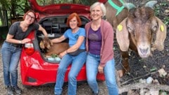 Die ehrenamtlichen Mitarbeiterinnen Dunja Spies, Traude Marinkovits und Renate Birkelbach ...