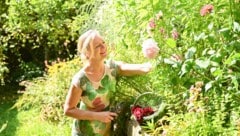 Patrizia Haslinger zeigt ihre Schätze her – in ihrem Garten wachsen viele Dahlien, die sie gerne ...
