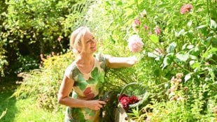 Patrizia Haslinger zeigt ihre Schätze her – in ihrem Garten wachsen viele Dahlien, die sie gerne ...