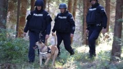 Die Täter flüchteten in ein Waldstück. Eine Großfahndung wurde eingeleitet (Symbolbild). 