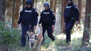 Die Täter flüchteten in ein Waldstück. Eine Großfahndung wurde eingeleitet (Symbolbild). 