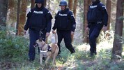 Die Täter flüchteten in ein Waldstück. Eine Großfahndung wurde eingeleitet (Symbolbild). 