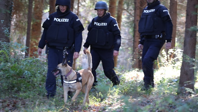 Die Täter flüchteten in ein Waldstück. Eine Großfahndung wurde eingeleitet (Symbolbild).