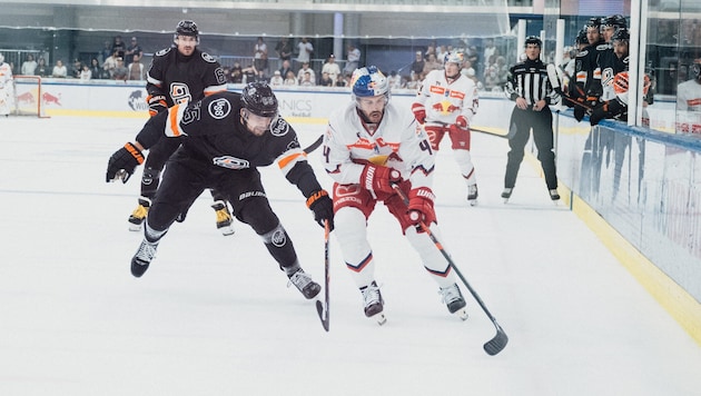 Nienhuis (re.) und die Bulls unterlagen Kosice.