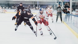 Nienhuis (re.) und die Bulls unterlagen Kosice. 