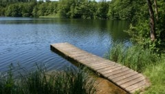 Das Naturbad bleibt trotz Befalls geöffnet.