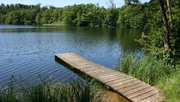 Das Naturbad bleibt trotz Befalls geöffnet.