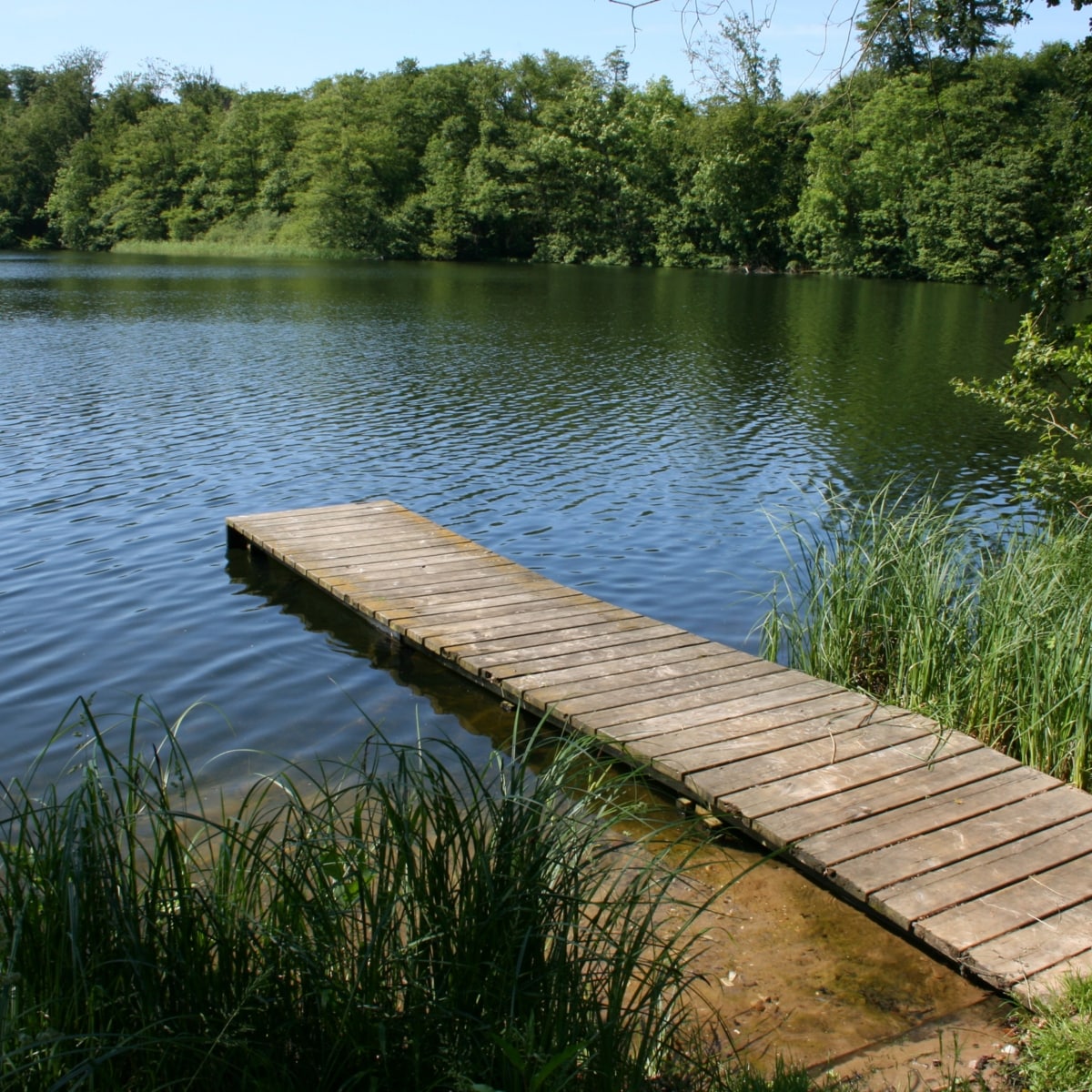 Dafür gibt‘s Rabatt! - Wen juckt‘s: Bad trotz Parasitenbefall offen