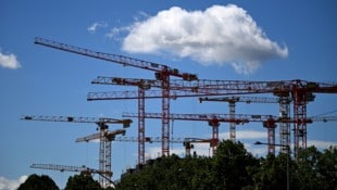 Die Bewilligungen für gemeinnützige Wohneinheiten gingen dramatisch zurück. Die Grünen fordern ...